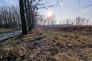 Działka na sprzedaż tarnogórski Radzionków - zdjęcie 2