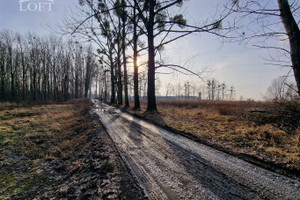 Działka na sprzedaż tarnogórski Radzionków - zdjęcie 1