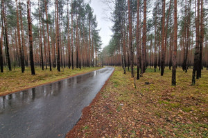 Działka na sprzedaż 67800m2 tarnogórski Krupski Młyn Potępa - zdjęcie 1