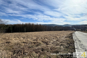 Działka na sprzedaż 1700m2 nowosądecki Grybów Cieniawa - zdjęcie 3