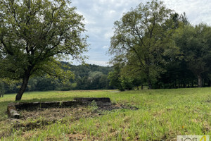 Działka na sprzedaż 8500m2 tarnowski Tuchów Buchcice - zdjęcie 3