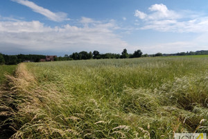 Działka na sprzedaż dąbrowski Dąbrowa Tarnowska Żabieńska, Bagienica - zdjęcie 2