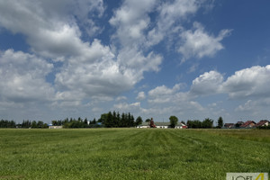 Działka na sprzedaż 2600m2 brzeski Borzęcin - zdjęcie 2