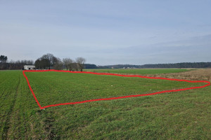 Działka na sprzedaż 320m2 grodziski Grodzisk Wielkopolski Słocin - zdjęcie 2