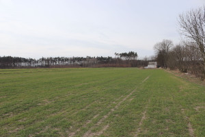 Działka na sprzedaż 320m2 grodziski Grodzisk Wielkopolski Słocin - zdjęcie 2