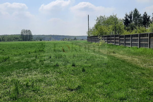 Działka na sprzedaż 11984m2 tomaszowski Tomaszów Mazowiecki - zdjęcie 3