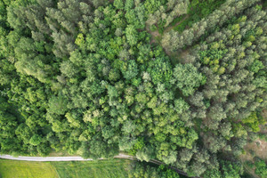 Działka na sprzedaż 7400m2 mielecki Czermin Ziempniów - zdjęcie 3