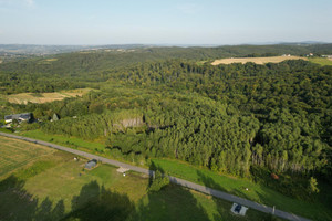 Działka na sprzedaż 6500m2 tarnowski Pleśna Dąbrówka Szczepanowska - zdjęcie 1