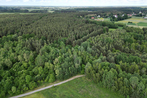 Działka na sprzedaż 7400m2 mielecki Czermin Ziempniów - zdjęcie 1