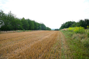 Działka na sprzedaż tarnowski Lisia Góra Śmigno - zdjęcie 2