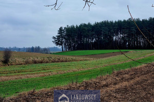 Działka na sprzedaż 2780m2 starogardzki Skarszewy Jaroszewy - zdjęcie 3