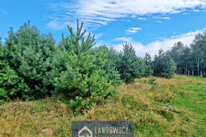 Działka na sprzedaż starogardzki Lubichowo Osowo Leśne Osiedle Letnisko II - zdjęcie 1