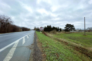 Działka na sprzedaż 3000m2 toruński Zławieś Wielka Czarnowo - zdjęcie 3