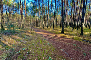 Działka na sprzedaż 4600m2 piotrkowski Aleksandrów Ostrów - zdjęcie 3