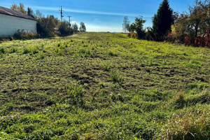 Działka na sprzedaż 5000m2 brzeziński Brzeziny Polik - zdjęcie 1