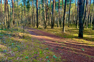 Działka na sprzedaż 4600m2 piotrkowski Aleksandrów Ostrów - zdjęcie 1