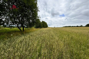 Działka na sprzedaż gdański Trąbki Wielkie Mierzeszyn Gdańska - zdjęcie 1