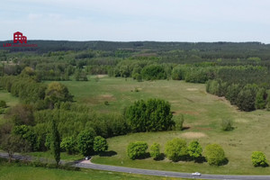 Działka na sprzedaż 19790m2 zielonogórski Zabór Droszków Zielonogórska - zdjęcie 2