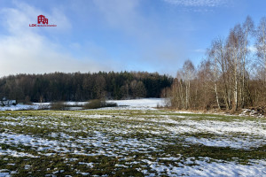 Działka na sprzedaż 3100m2 gdański Trąbki Wielkie Mierzeszyn Wolności - zdjęcie 1