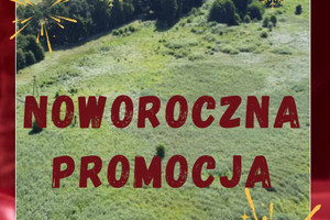 Działka na sprzedaż 41445m2 nowosolski Kolsko Konotop - zdjęcie 1