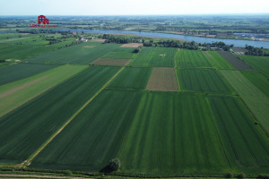 Działka na sprzedaż Gdańsk Wyspa Sobieszewska Przegalińska - zdjęcie 2