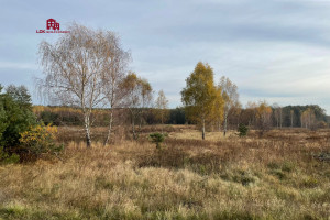 Działka na sprzedaż 35300m2 Zielona Góra - zdjęcie 1