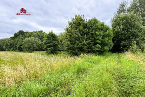 Działka na sprzedaż gdański Trąbki Wielkie Mierzeszyn Gdańska - zdjęcie 3