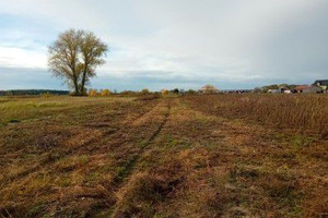 Działka na sprzedaż goleniowski Goleniów Lubczyna - zdjęcie 3