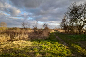 Działka na sprzedaż 1200m2 goleniowski Maszewo Jenikowo - zdjęcie 1