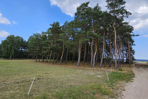 Działka na sprzedaż policki Dobra (Szczecińska) Dobra - zdjęcie 2