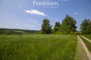 Działka na sprzedaż 18004m2 brzozowski Dydnia Krzywe - zdjęcie 1