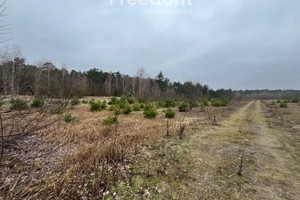 Działka na sprzedaż 916m2 toruński Zławieś Wielka Czarne Błoto - zdjęcie 2