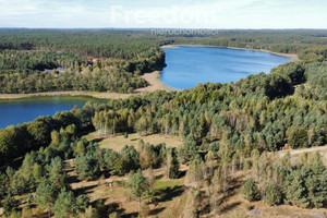 Działka na sprzedaż 2321m2 szczecinecki Biały Bór Stepień - zdjęcie 3