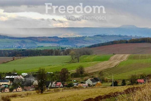 Działka na sprzedaż kłodzki Nowa Ruda - zdjęcie 2