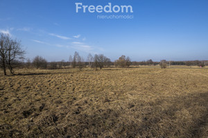 Działka na sprzedaż 2100m2 rzeszowski Sokołów Małopolski Trzeboś - zdjęcie 3