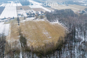 Działka na sprzedaż grodziski Żabia Wola Ciepłe - zdjęcie 2