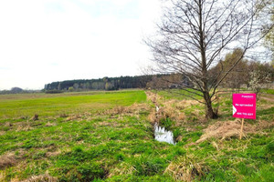 Działka na sprzedaż 6760m2 siedlecki Zbuczyn Dziewule Leśna - zdjęcie 1