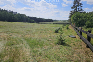 Działka na sprzedaż 1001m2 nowomiejski Kurzętnik Kąciki - zdjęcie 1