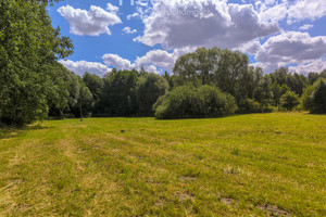 Działka na sprzedaż 7000m2 grodziski Jaktorów Bieganów Poziomkowa - zdjęcie 1