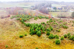 Działka na sprzedaż 15200m2 gdański Przywidz Czarna Huta Szara - zdjęcie 2