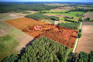 Dom na sprzedaż 300m2 czarnkowsko-trzcianecki Czarnków Jędrzejewo - zdjęcie 3