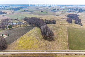 Działka na sprzedaż 48800m2 białostocki Łapy Płonka Kościelna - zdjęcie 3