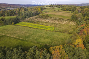 Działka na sprzedaż 8100m2 brzozowski Dydnia Grabówka - zdjęcie 3