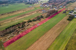 Działka na sprzedaż 6090m2 kłobucki Miedźno - zdjęcie 2