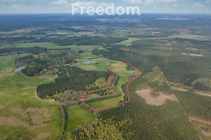 Działka na sprzedaż 158700m2 szczycieński Wielbark Przeździęk Wielki - zdjęcie 3