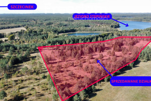 Działka na sprzedaż 1988m2 szczecinecki Biały Bór Stepień - zdjęcie 2