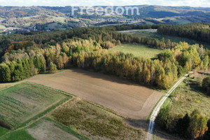 Działka na sprzedaż 5700m2 strzyżowski Niebylec Połomia - zdjęcie 2