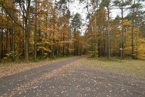 Działka na sprzedaż 4951m2 Rybnik Ochojec - zdjęcie 1