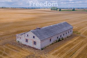 Komercyjne do wynajęcia 1850m2 wągrowiecki Gołańcz Panigródz - zdjęcie 2