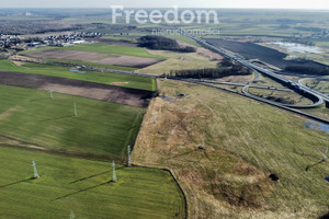 Działka na sprzedaż 9000m2 stargardzki Stargard Lipnik - zdjęcie 4